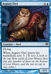 Augury Owl - 