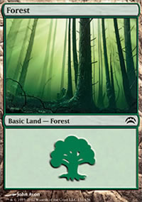 Forest - 