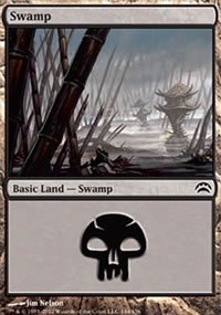 Swamp - 