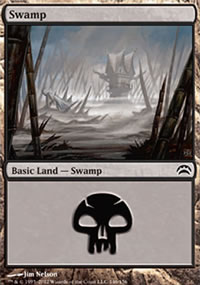 Swamp - 