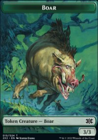 Boar - 