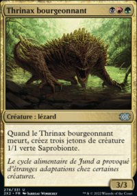 Thrinax bourgeonnant - 