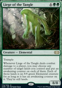 Liege of the Tangle - 