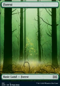 Forest - 