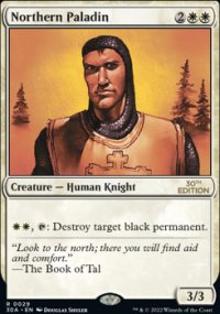 Northern Paladin - 