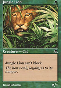 Jungle Lion - 