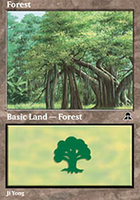 Forest - 