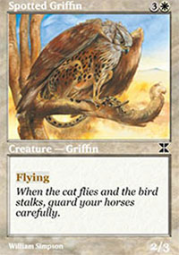 Spotted Griffin - 