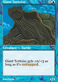 Giant Tortoise - 