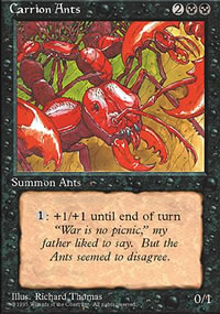 Carrion Ants - 