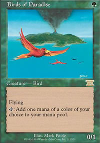 Birds of Paradise - 6th Edition