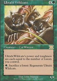 Uktabi Wildcats - 