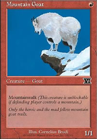 Mountain Goat - 