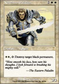 Northern Paladin - 