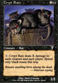 Rats des cryptes - 