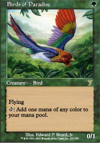 Birds of Paradise - 7th Edition