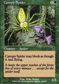 Canopy Spider - 