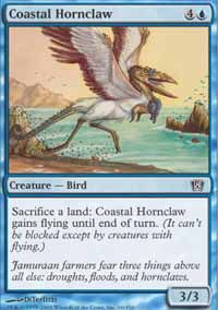 Coastal Hornclaw - 