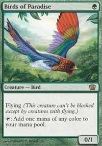 Birds of Paradise - 8th Edition