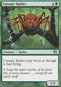 Canopy Spider - 