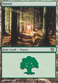 Forest - 