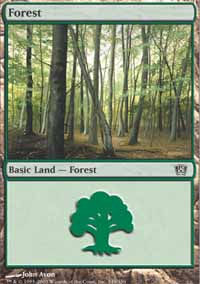 Forest - 