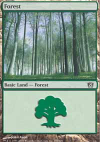 Forest - 