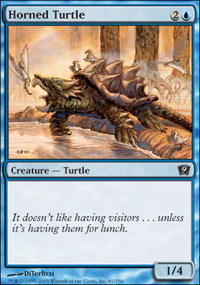 Horned Turtle - 