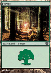 Forest - 