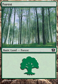 Forest - 