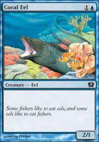 Coral Eel - 