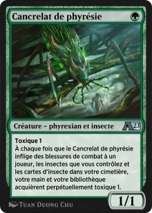 Cancrelat de phyrsie - 