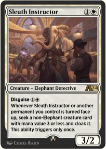 Sleuth Instructor - 