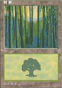 Forest - Asian Alternate Arts