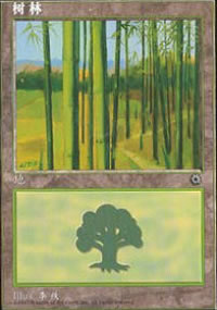 Forest - Asian Alternate Arts