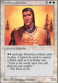 Northern Paladin - 