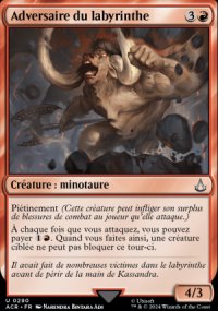 Adversaire du labyrinthe - Assassins Creed