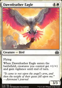 Dawnfeather Eagle - 