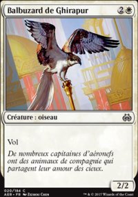 Balbuzard de Ghirapur - 