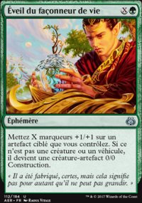 veil du faonneur de vie - 