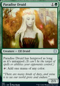 Paradise Druid - 