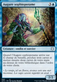 Augure sophiopotame - 