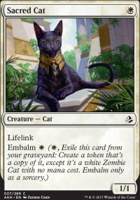 Sacred Cat - Amonkhet