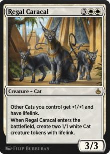 Regal Caracal - 