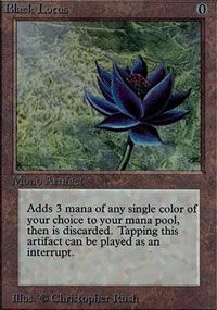 Lotus noir - 