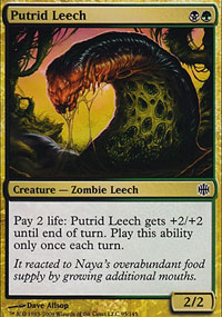 Putrid Leech - 