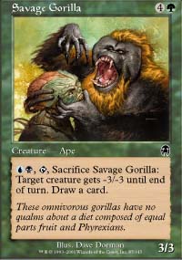 Gorille sauvage - 