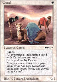 Camel - 