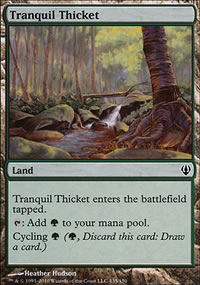 Tranquil Thicket - 