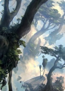 Forest - Art 1 - Zendikar Rising - Art Series